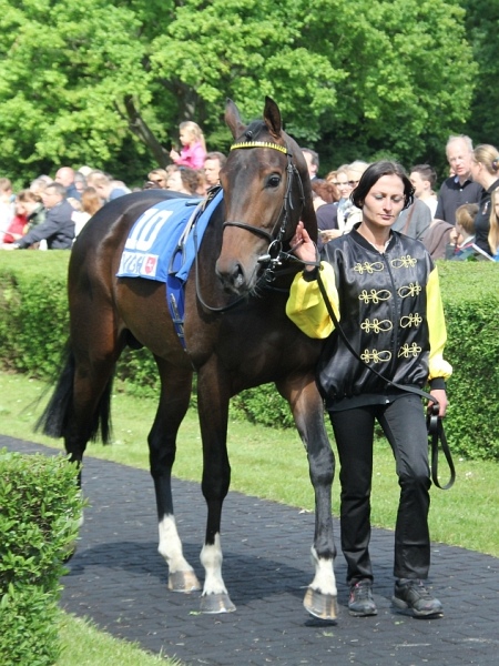 Bult VGH2011   090.jpg